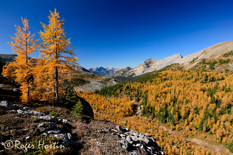 2009 09 25 Mount Assiniboine Provincial Park 451 copy