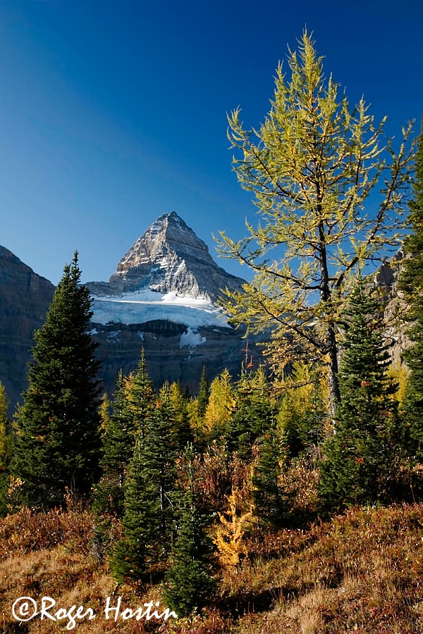 web 2009 09 23 Mount Assiniboine Provincial Park 345