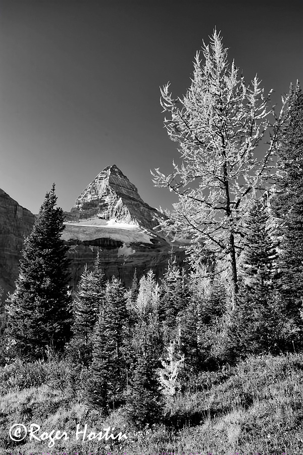 web small 2009 09 23 Mount Assiniboine Provincial Park 343