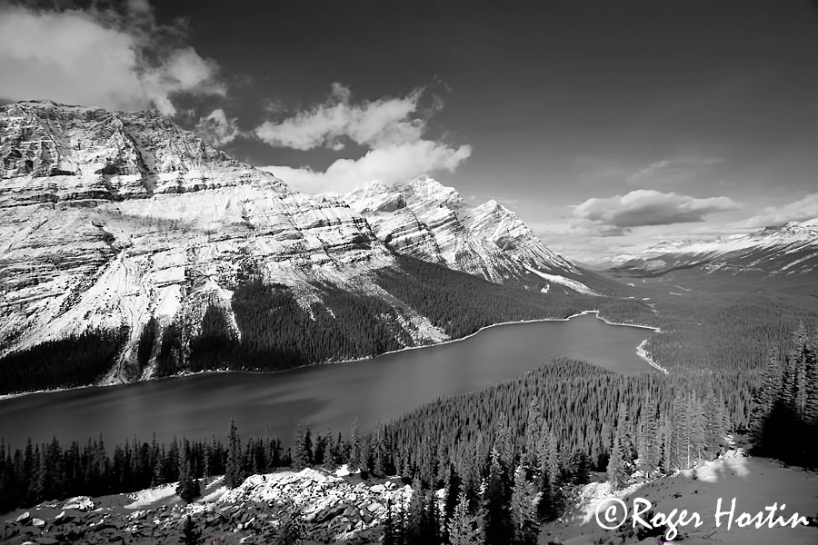 WEB small 2010 10 30 Peyto Lake 161