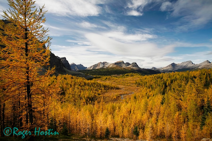 2009 09 21 Mount Assiniboine Provincial Park 341-2 copy