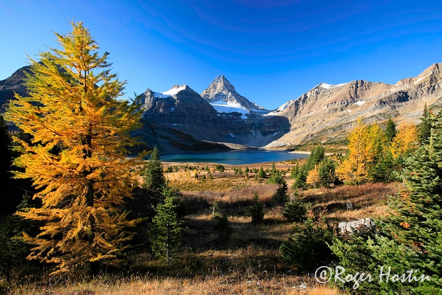 2009 09 27 Mount Assiniboine Provincial Park 955 copy