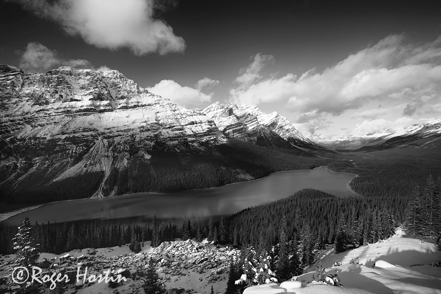 BW WEB 2010 11 08 Peyto Lake 203