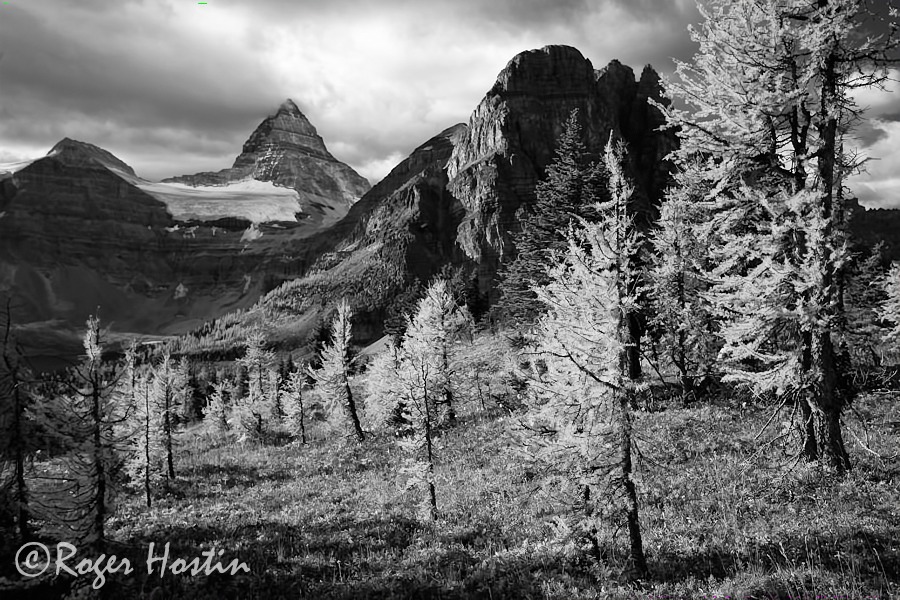WEB 2009 09 26 Mount Assiniboine Provincial Park 827