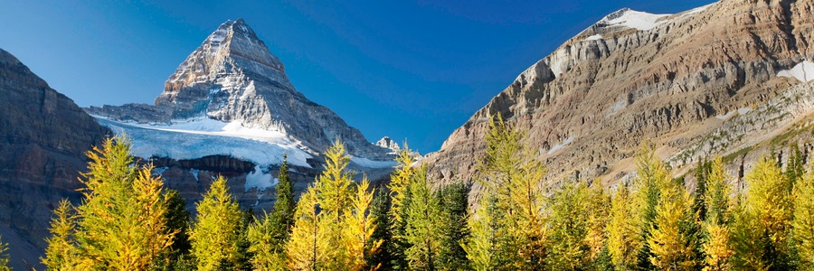 web_pan_2009_09_23_Mount Assiniboine Provincial Park_351