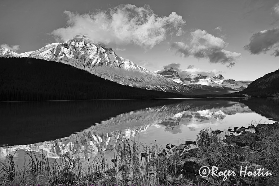 WEB small 2010 11 08 Lower Waterfowl Lake 299